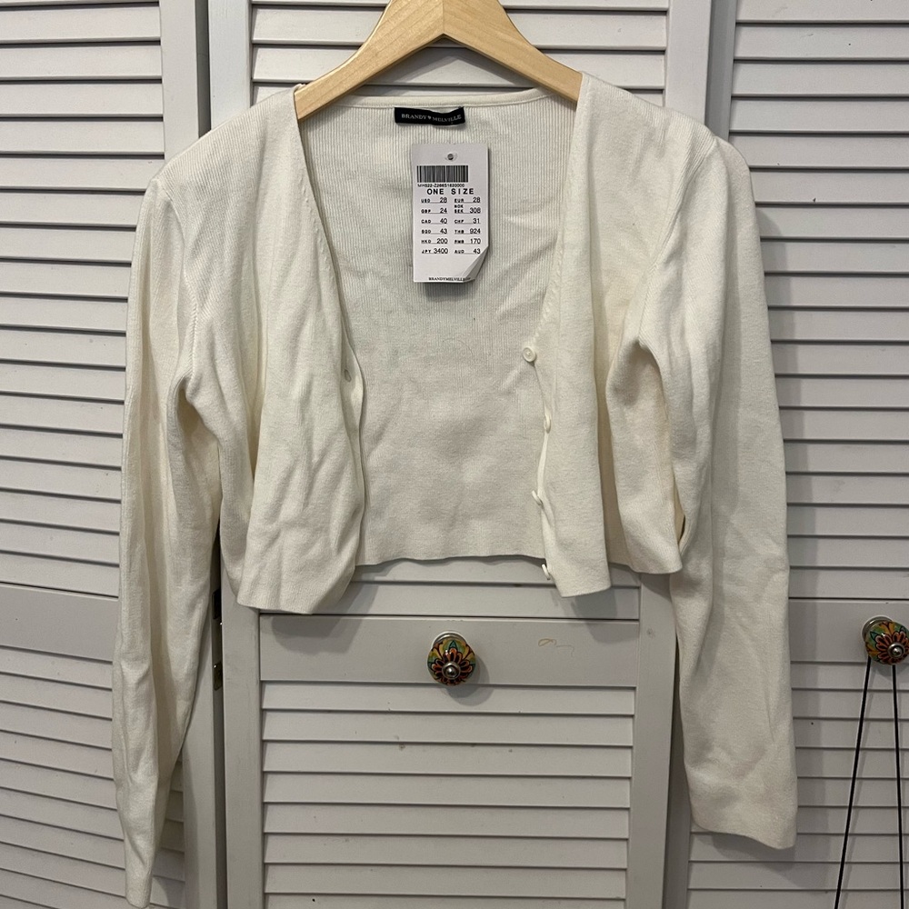 brandy melville cropped sweater